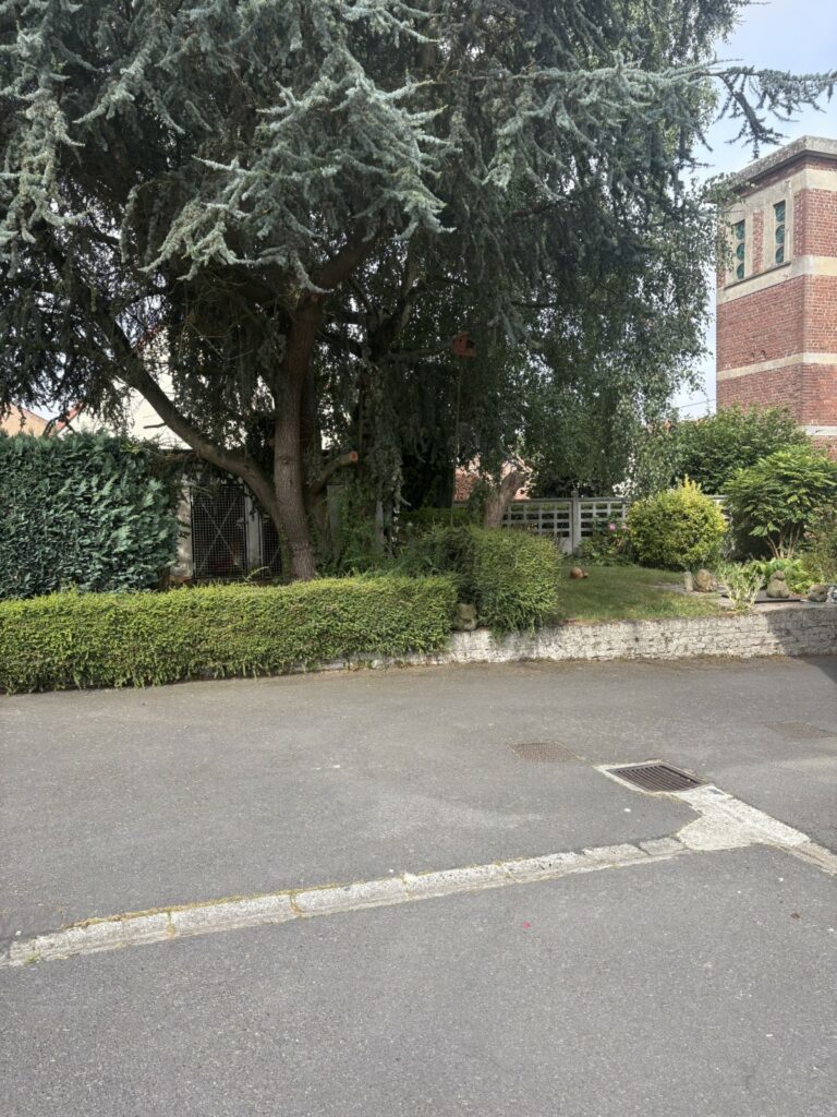 Taille de haies élagage APRES - HERMIES Pas de Calais - Bruno LENFANT