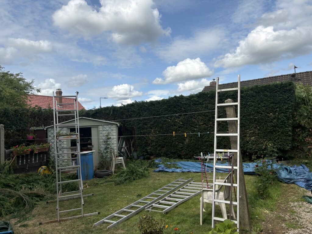Taille de haies élagage APRÈS - LIBERCOURT Pas de Calais - Bruno LENFANT
