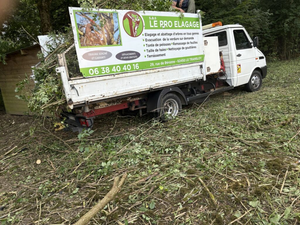 retrait de déchets verts vers déchetterie par Bruno LENFANT élagueur et entretien espaces verts