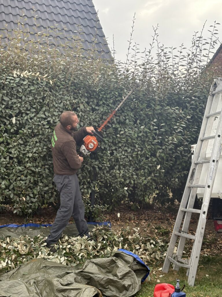 taille de haies par Bruno LENFANT - entretien espaces verts 62