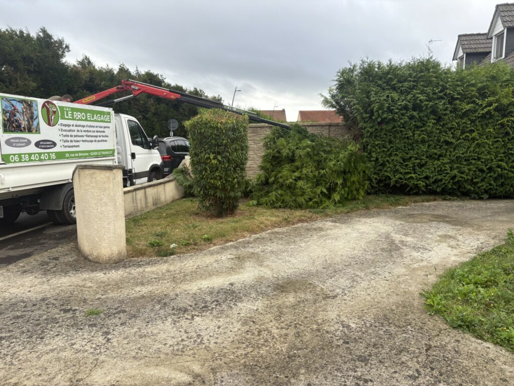 Taille de haie avec un taille haie géant - Bruno LENFANT - entretien espaces verts