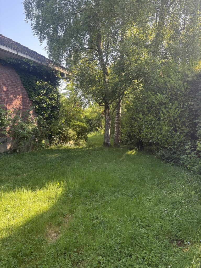 tonte pelouse, entretien espace vert - terminé