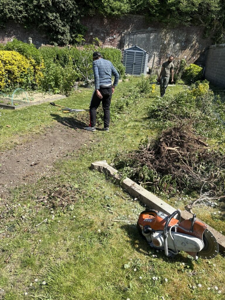Entretien espaces verts - taille de haie, tonte de pelouse